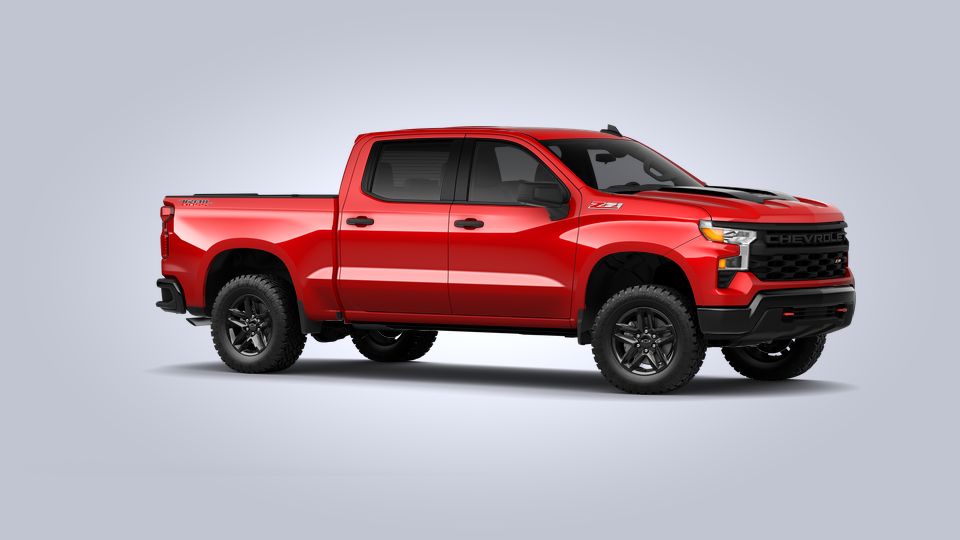 2022 Chevrolet Silverado 1500 Vehicle Photo in Fishers, IN 46038