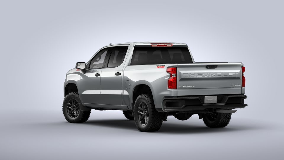 2022 Chevrolet Silverado 1500 Vehicle Photo in BROUSSARD, LA 70518-0000