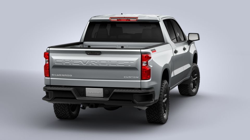 2022 Chevrolet Silverado 1500 Vehicle Photo in BROUSSARD, LA 70518-0000