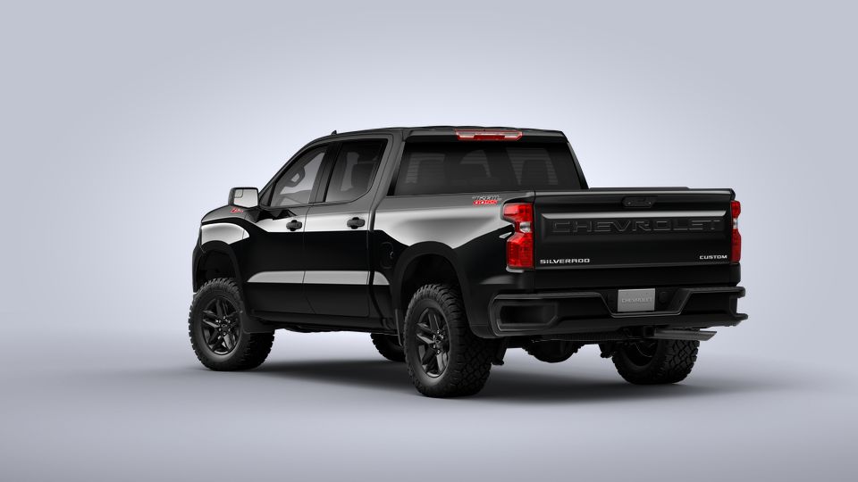 2022 Chevrolet Silverado 1500 Vehicle Photo in ENGLEWOOD, CO 80113-6708