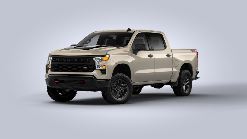 2022 Chevrolet Silverado 1500 Vehicle Photo in RIVERSIDE, CA 92504-4106