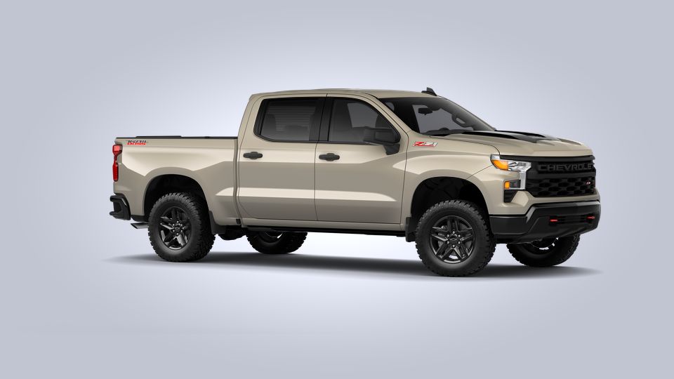 2022 Chevrolet Silverado 1500 Vehicle Photo in RIVERSIDE, CA 92504-4106