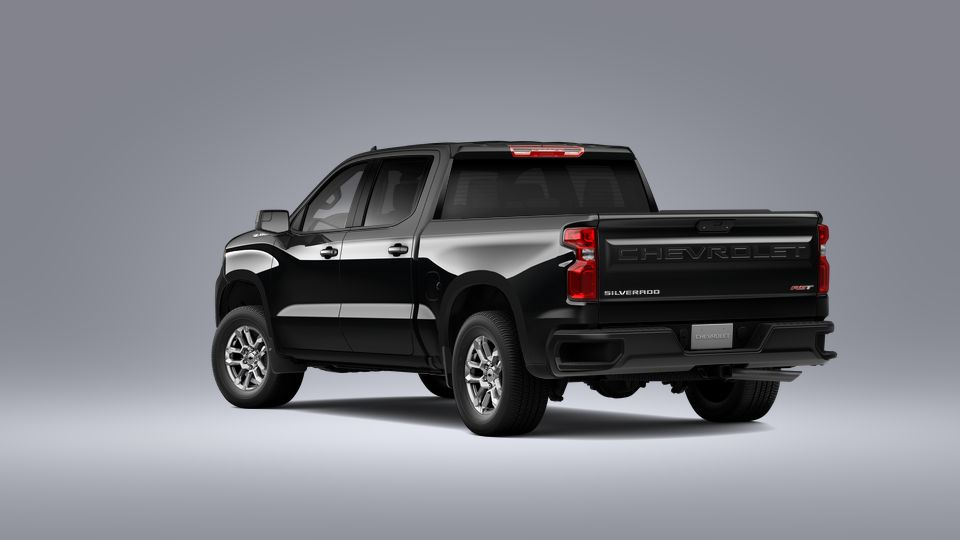 2023 Chevrolet Silverado 1500 Vehicle Photo in BROUSSARD, LA 70518-0000