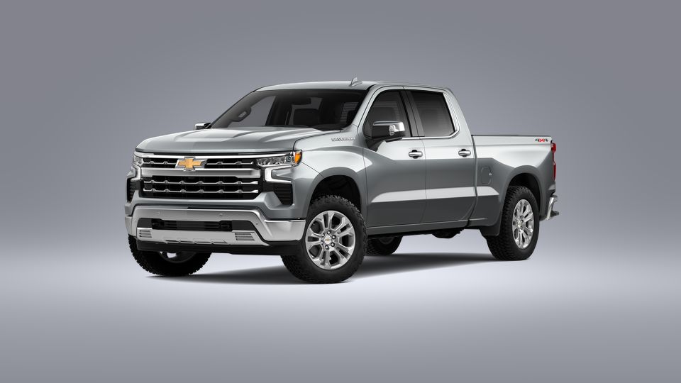 2023 Chevrolet Silverado 1500 Vehicle Photo in YERINGTON, NV 89447-2388