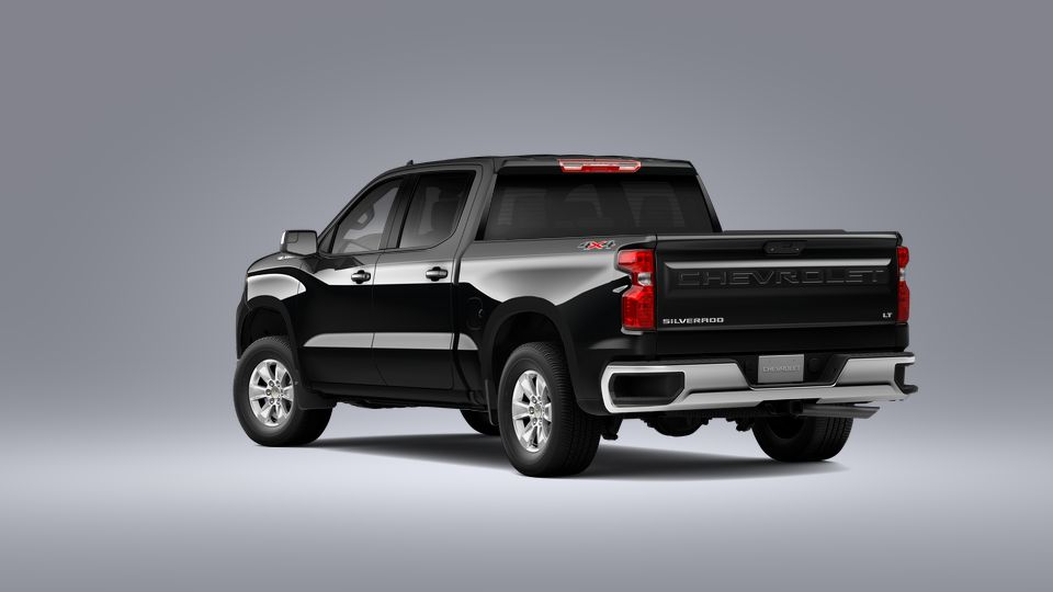 2023 Chevrolet Silverado 1500 Vehicle Photo in SUGAR LAND, TX 77478-0000