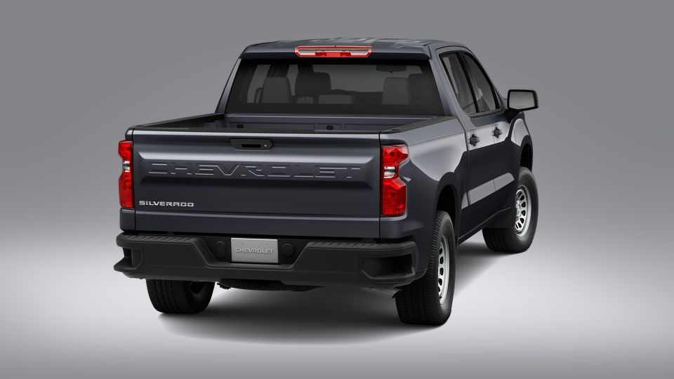2023 Chevrolet Silverado 1500 Vehicle Photo in POOLER, GA 31322-3252