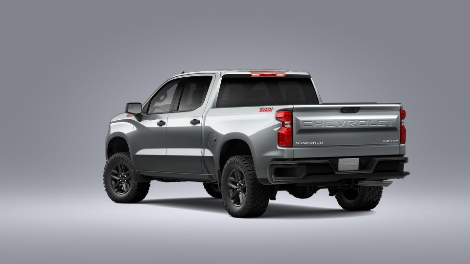 2023 Chevrolet Silverado 1500 Vehicle Photo in CORPUS CHRISTI, TX 78416-1100