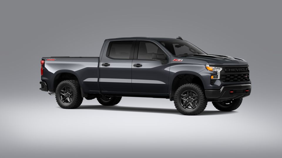 2023 Chevrolet Silverado 1500 Vehicle Photo in BEAUFORT, SC 29906-4218