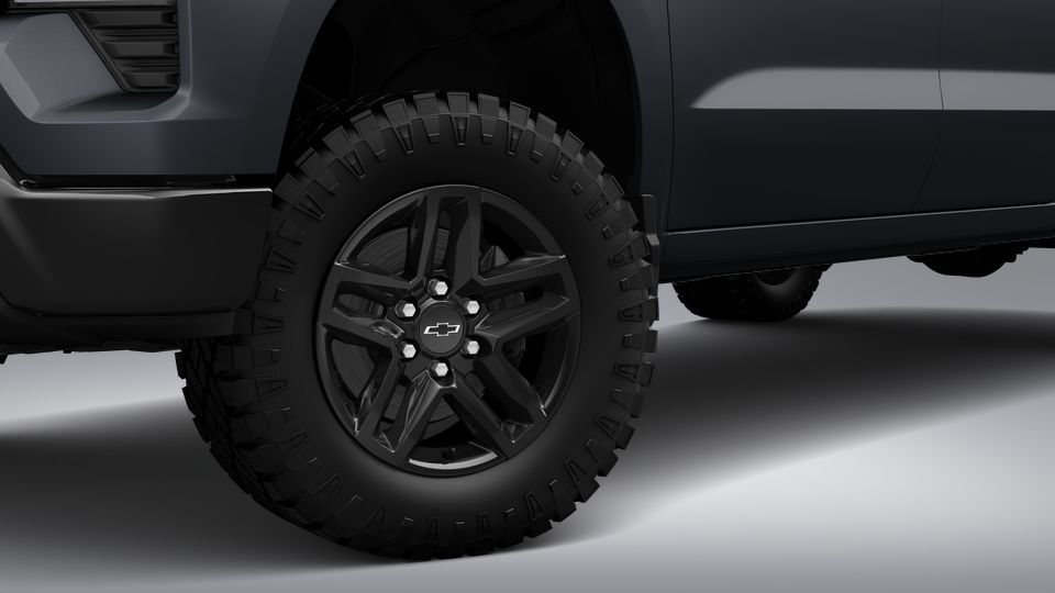 2023 Chevrolet Silverado 1500 Vehicle Photo in BEAUFORT, SC 29906-4218
