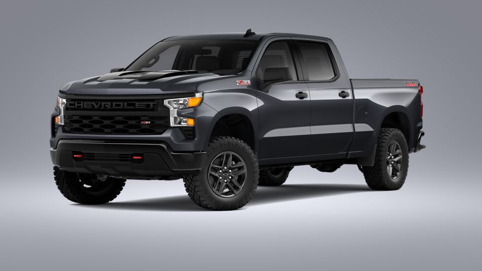2023 Chevrolet Silverado 1500 Vehicle Photo in BEAUFORT, SC 29906-4218