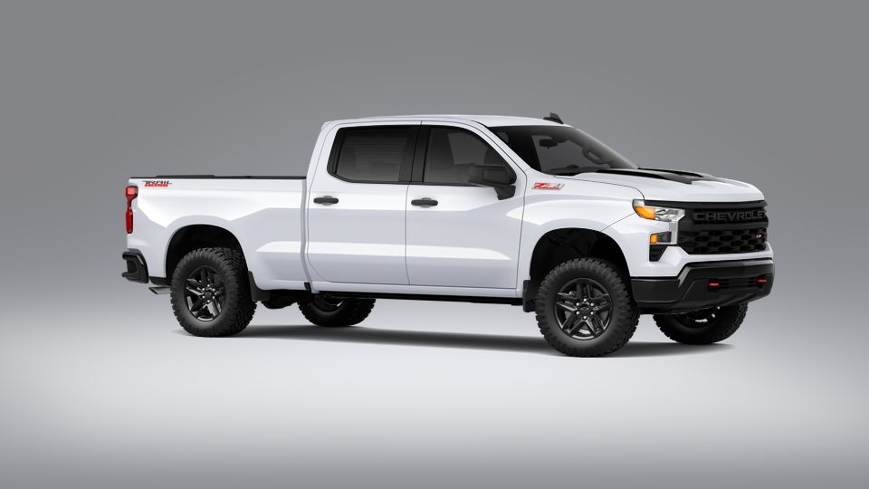 2023 Chevrolet Silverado 1500 Vehicle Photo in COLUMBIA, MO 65203-3903