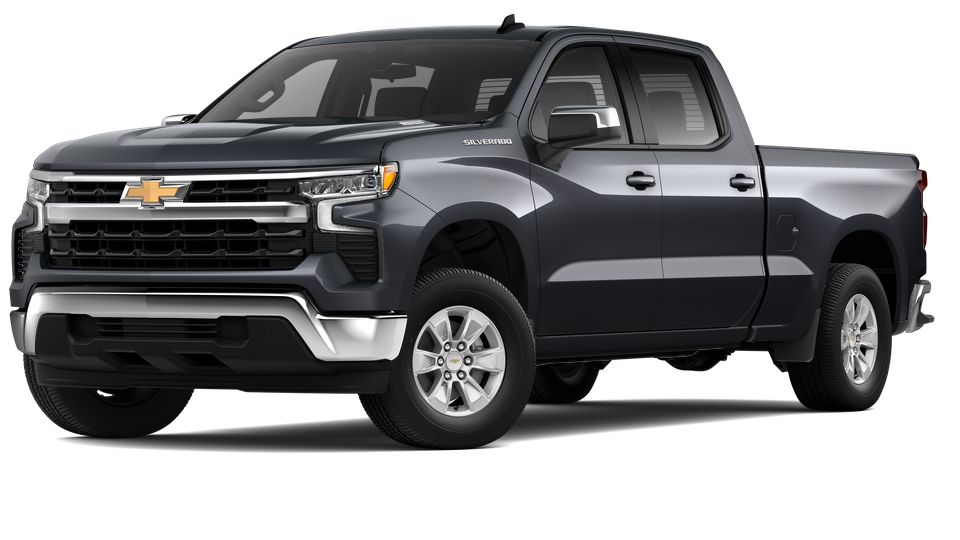 2024 Chevrolet Silverado 1500 Vehicle Photo in SAVANNAH, GA 31406-4513