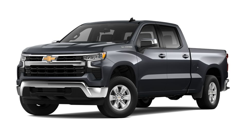 2024 Chevrolet Silverado 1500 Vehicle Photo in SAVANNAH, GA 31406-4513