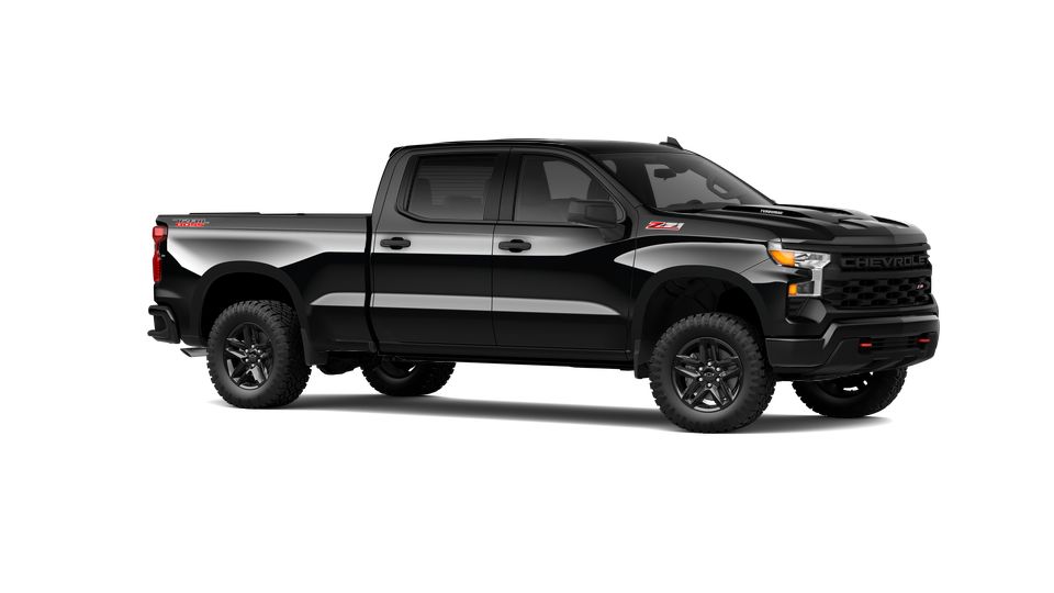 2024 Chevrolet Silverado 1500 Vehicle Photo in EVERETT, WA 98203-5662