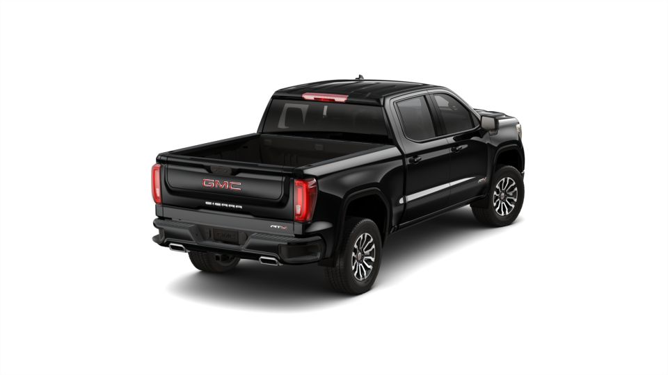 2019 GMC Sierra 1500 Vehicle Photo in Statesboro, GA 30458