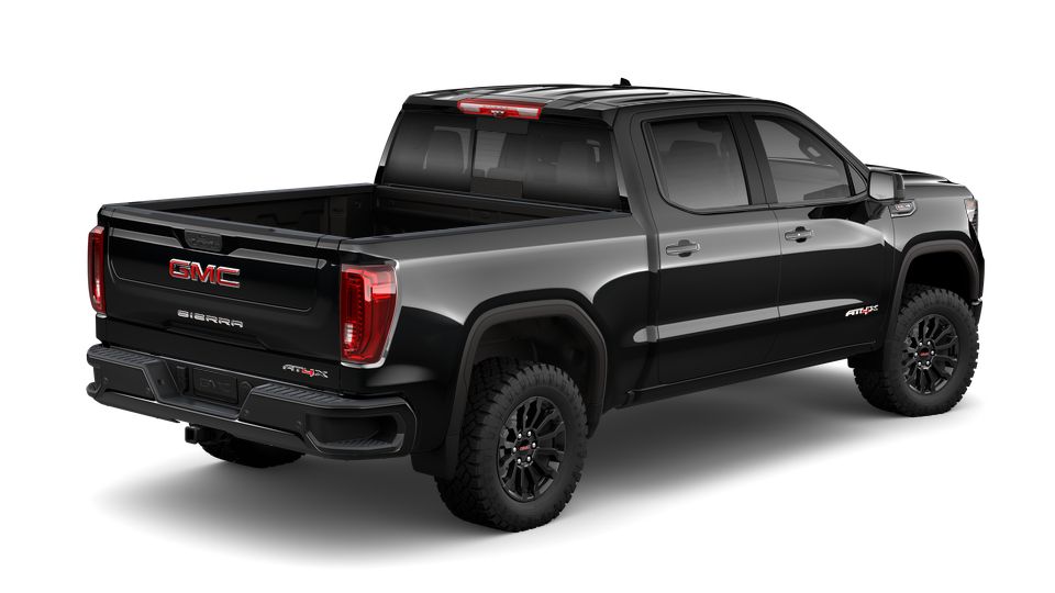 2022 GMC Sierra 1500 Vehicle Photo in SELMA, TX 78154-1459