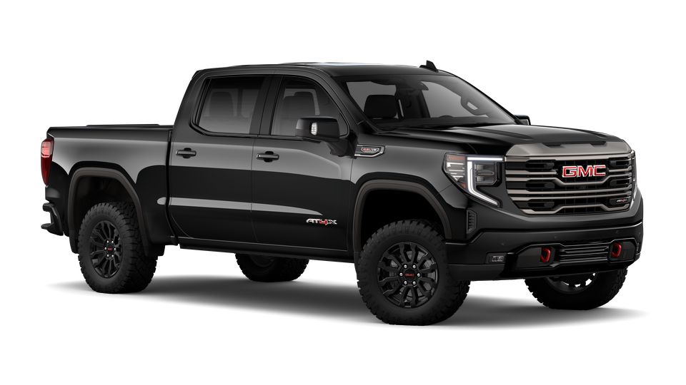 2022 GMC Sierra 1500 Vehicle Photo in SELMA, TX 78154-1459