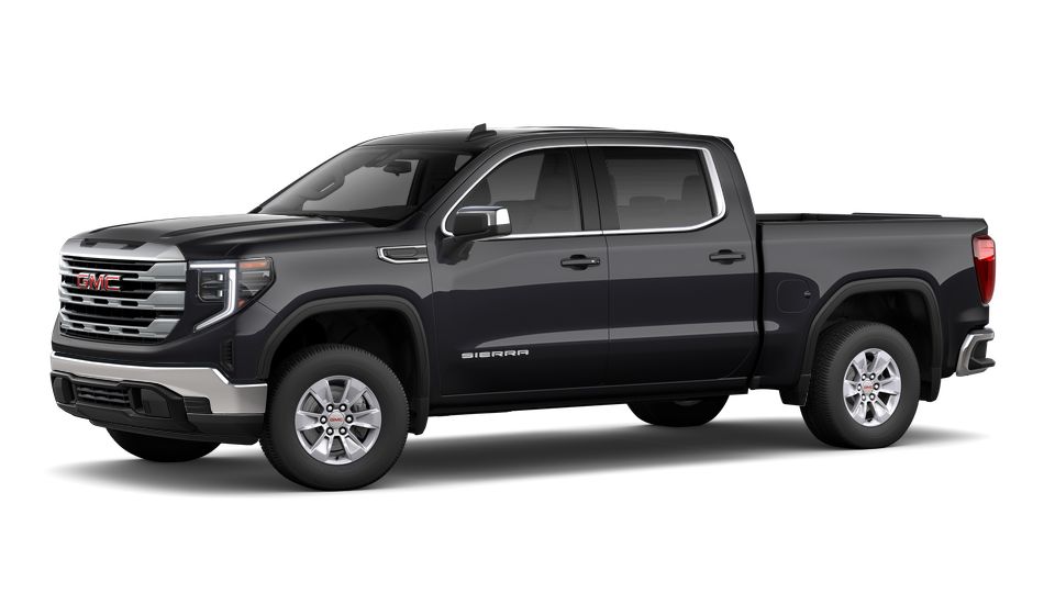 2023 GMC Sierra 1500 Vehicle Photo in Statesboro, GA 30458