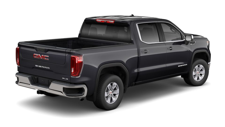 2023 GMC Sierra 1500 Vehicle Photo in Statesboro, GA 30458