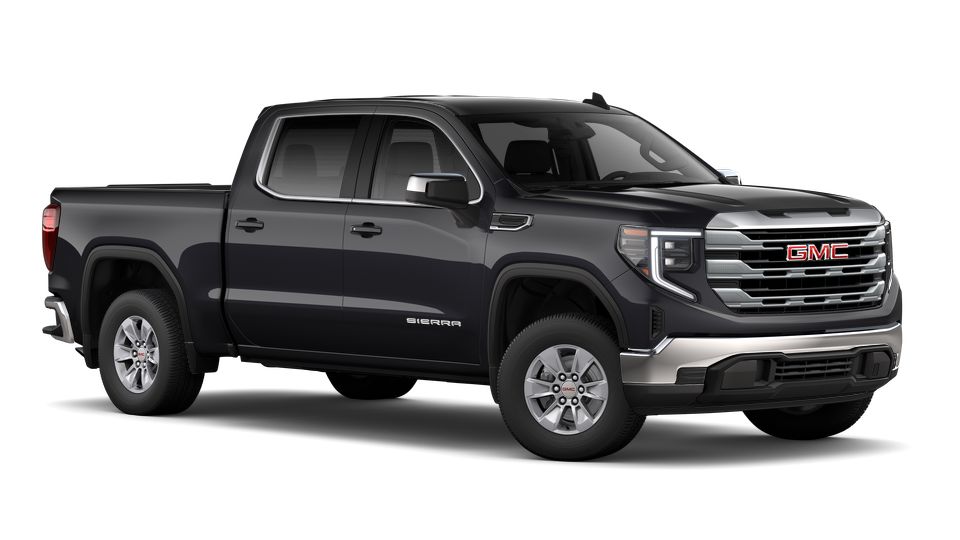 2023 GMC Sierra 1500 Vehicle Photo in Statesboro, GA 30458