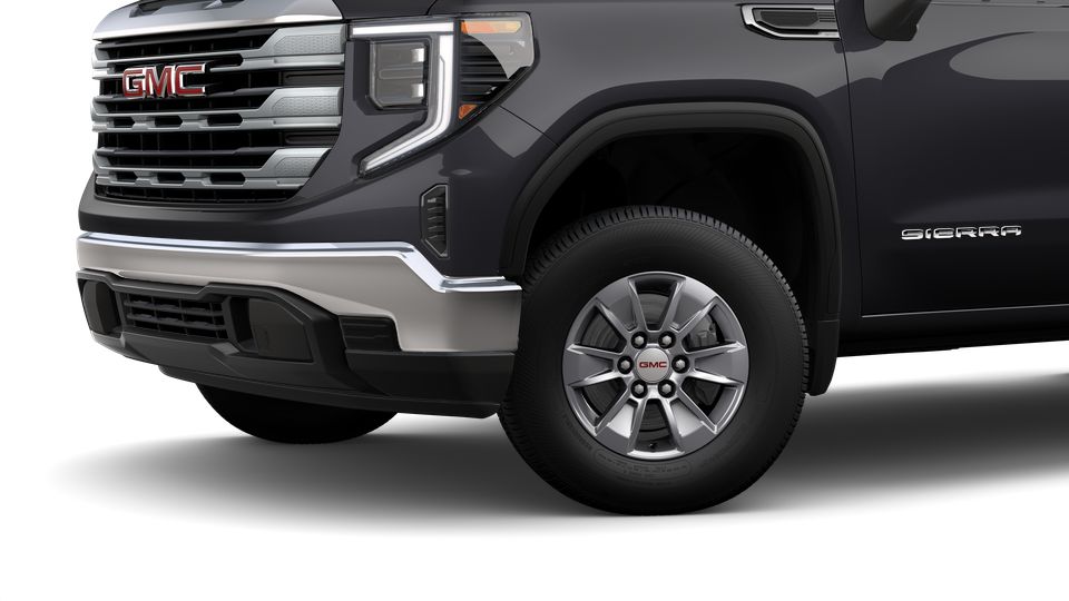 2023 GMC Sierra 1500 Vehicle Photo in Statesboro, GA 30458