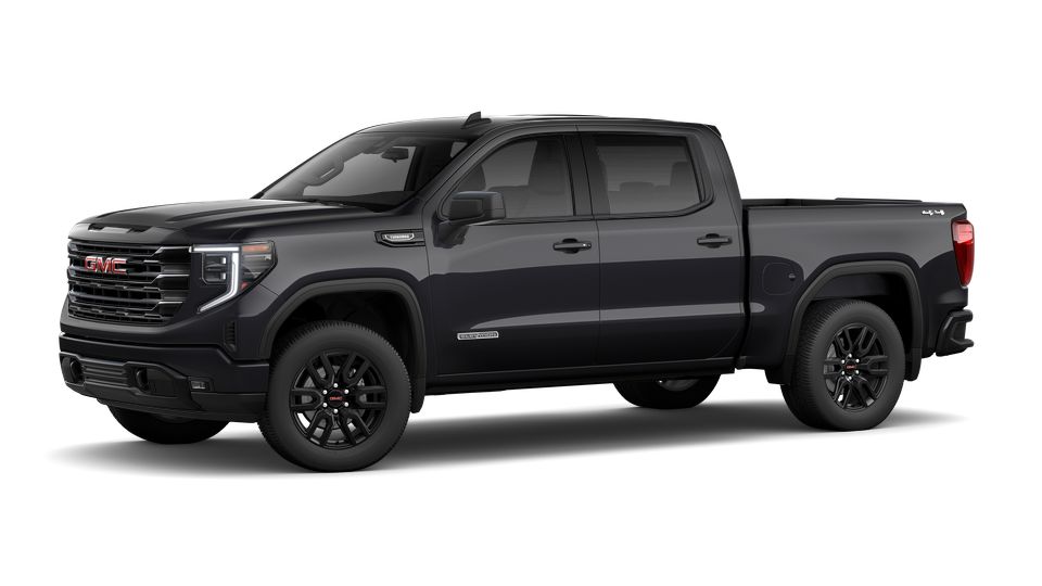 2024 GMC Sierra 1500 Vehicle Photo in MEDINA, OH 44256-9631