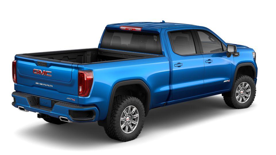 2024 GMC Sierra 1500 Vehicle Photo in Panama City, FL 32401