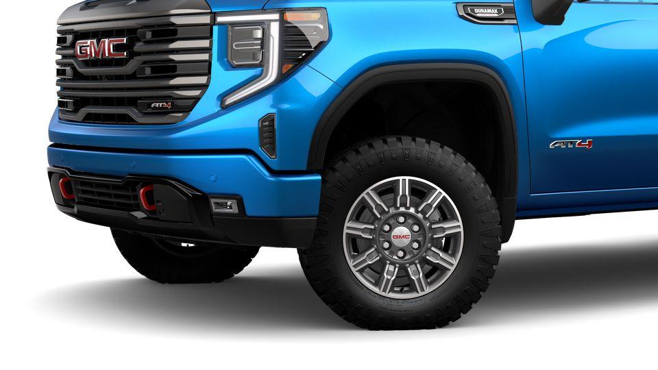 2024 GMC Sierra 1500 Vehicle Photo in Panama City, FL 32401