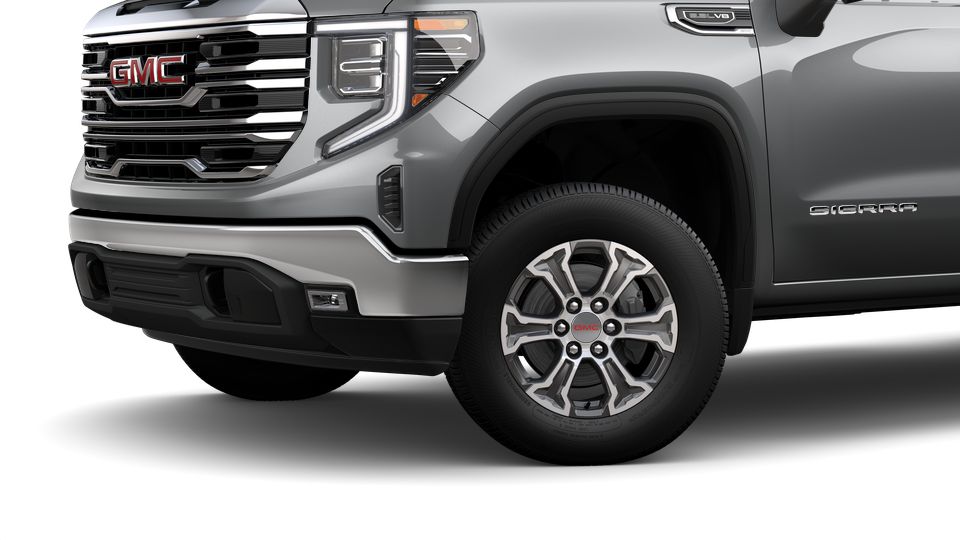2024 GMC Sierra 1500 Vehicle Photo in SELMA, TX 78154-1459