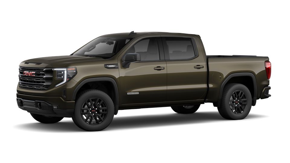 2024 GMC Sierra 1500 Vehicle Photo in Bradenton, FL 34207