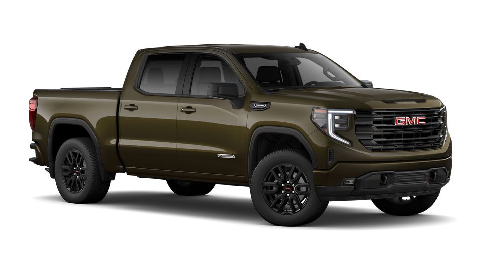 2024 GMC Sierra 1500 Vehicle Photo in Bradenton, FL 34207
