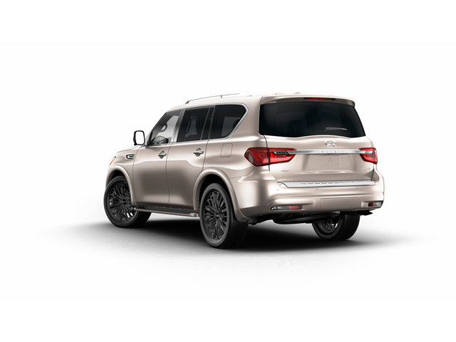 2024 INFINITI QX80 Vehicle Photo in San Antonio, TX 78230