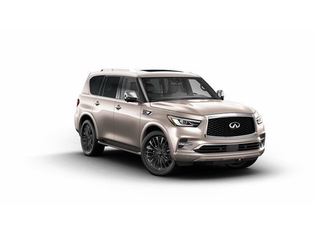 2024 INFINITI QX80 Vehicle Photo in San Antonio, TX 78230