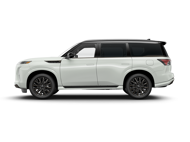 2025 INFINITI QX80 Vehicle Photo in San Antonio, TX 78230