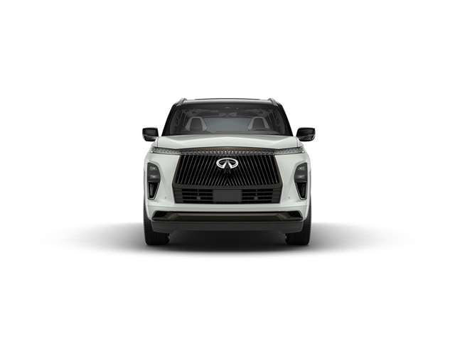 2025 INFINITI QX80 Vehicle Photo in San Antonio, TX 78230