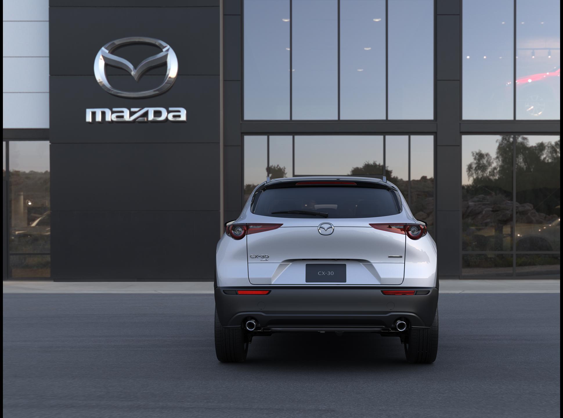 2025 Mazda CX-30 Vehicle Photo in Green Bay, WI 54304