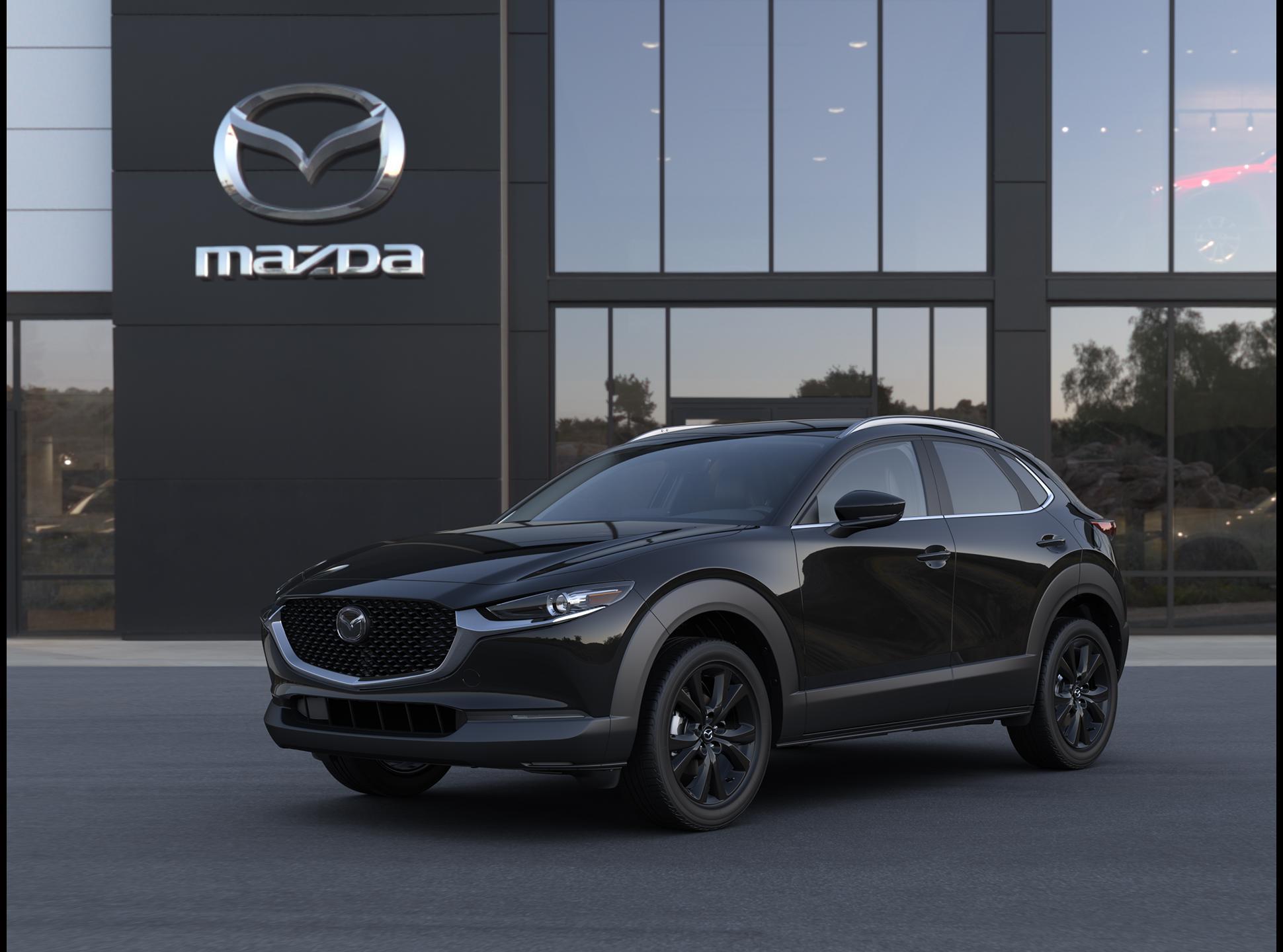 2025 Mazda CX-30 Vehicle Photo in Green Bay, WI 54304