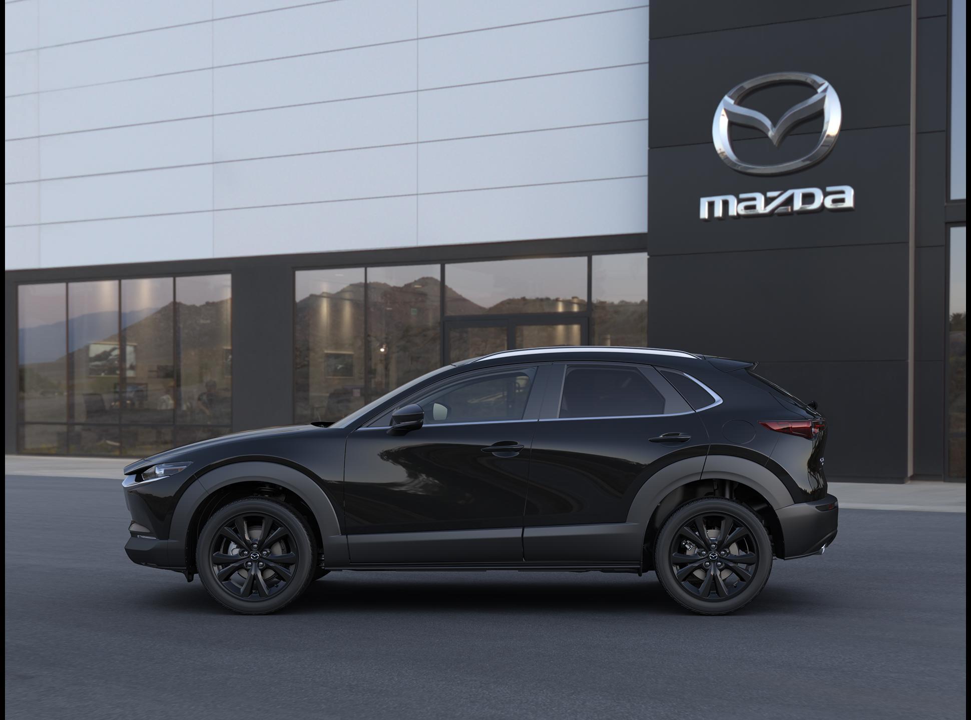 2025 Mazda CX-30 Vehicle Photo in Green Bay, WI 54304