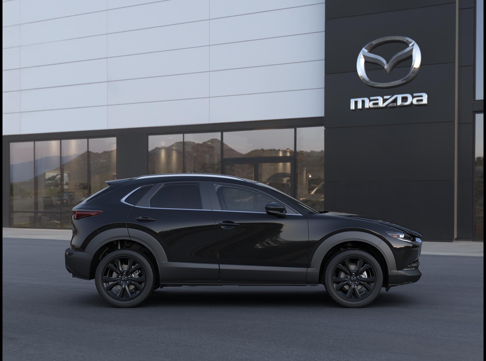 2025 Mazda CX-30 Vehicle Photo in Green Bay, WI 54304