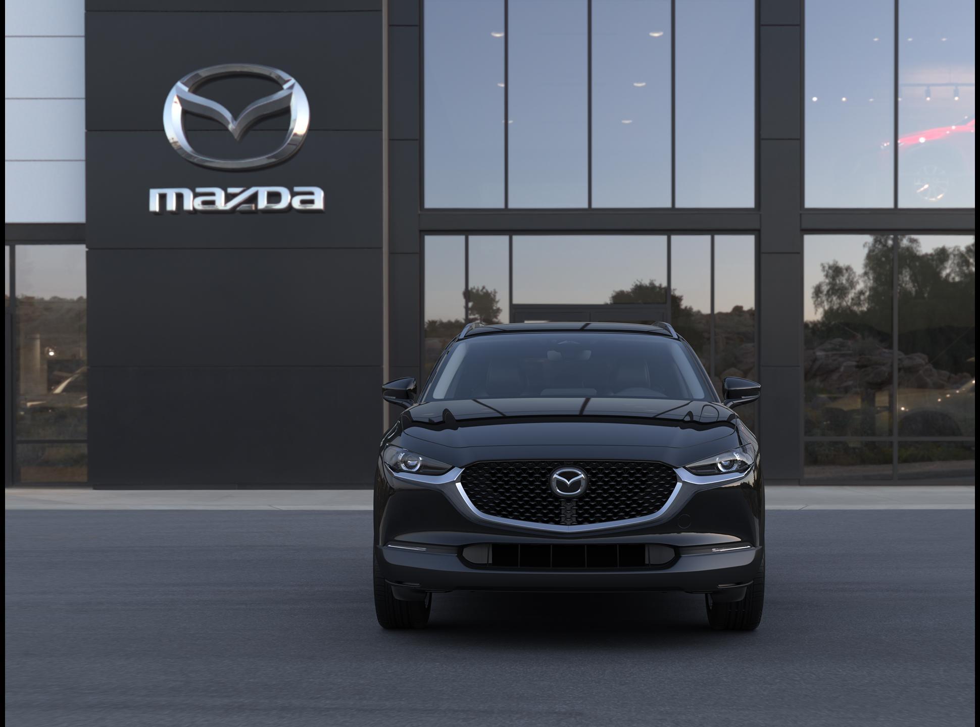 2025 Mazda CX-30 Vehicle Photo in Green Bay, WI 54304