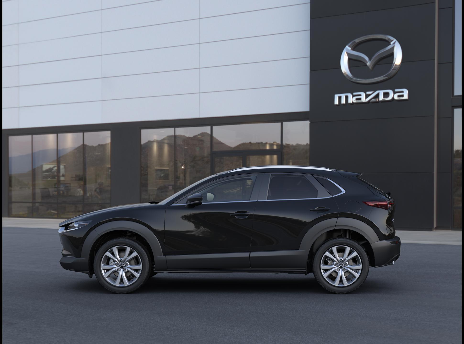 2025 Mazda CX-30 Vehicle Photo in Green Bay, WI 54304