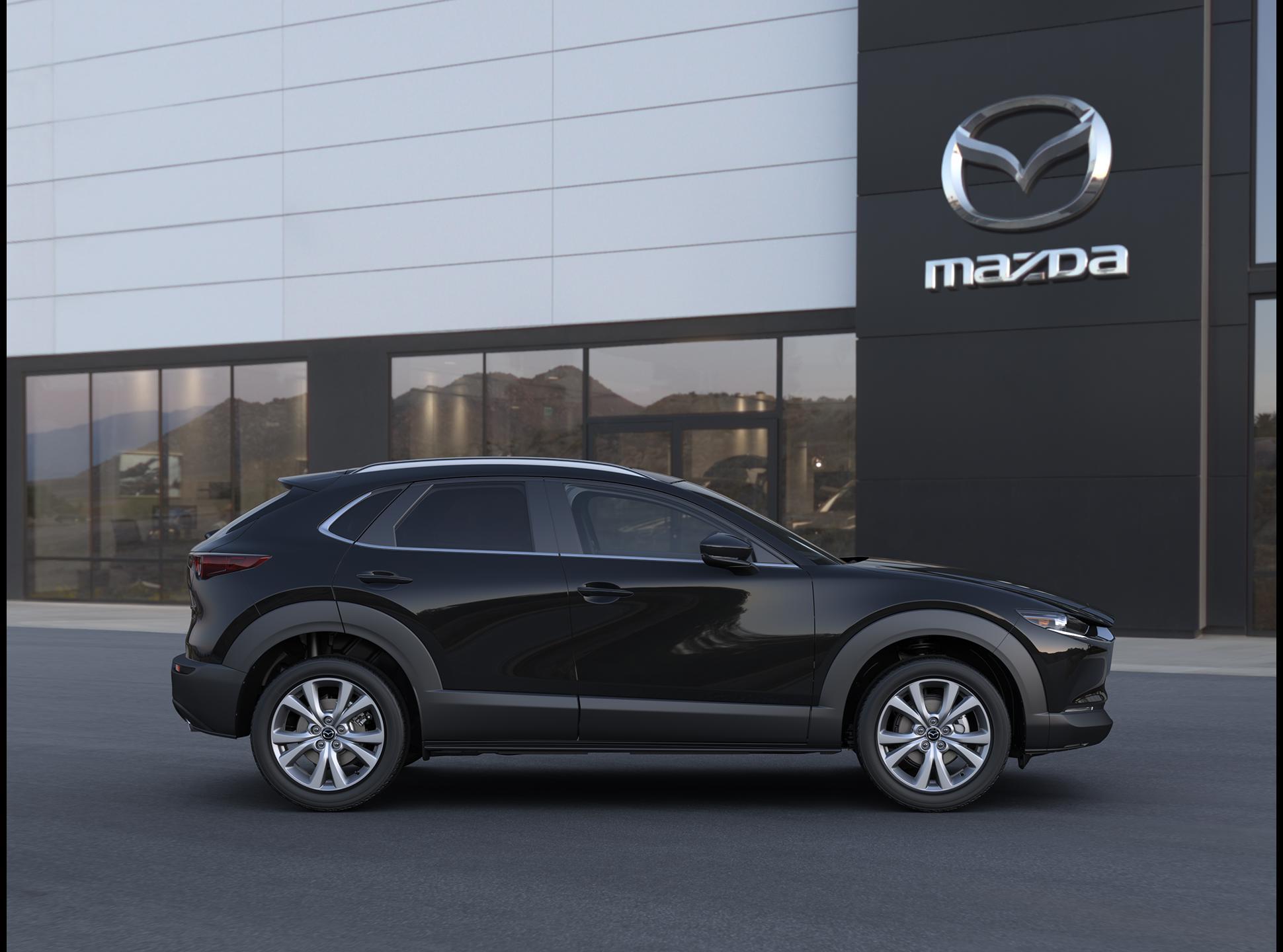 2025 Mazda CX-30 Vehicle Photo in Green Bay, WI 54304