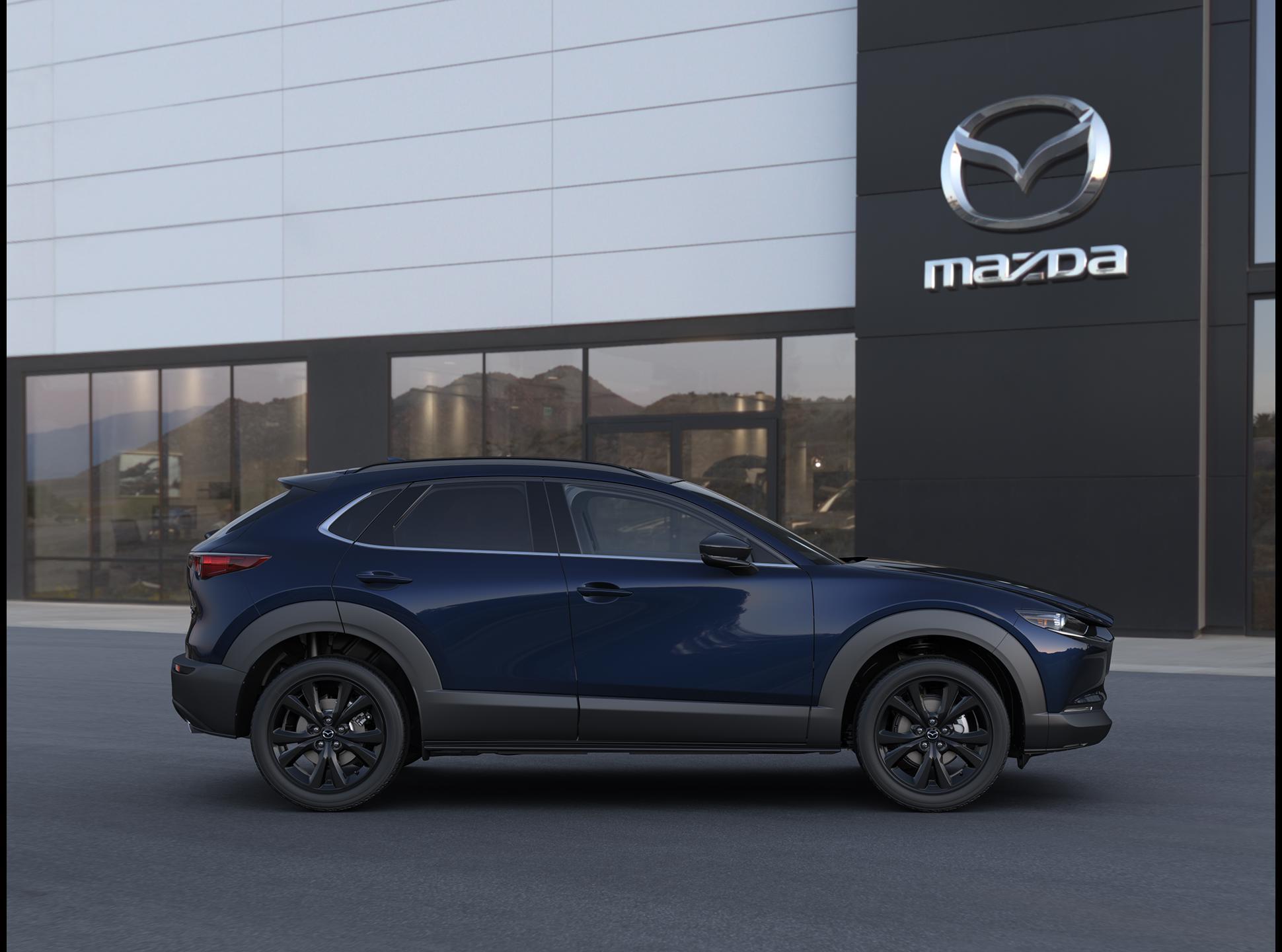 2025 Mazda CX-30 Vehicle Photo in Green Bay, WI 54304