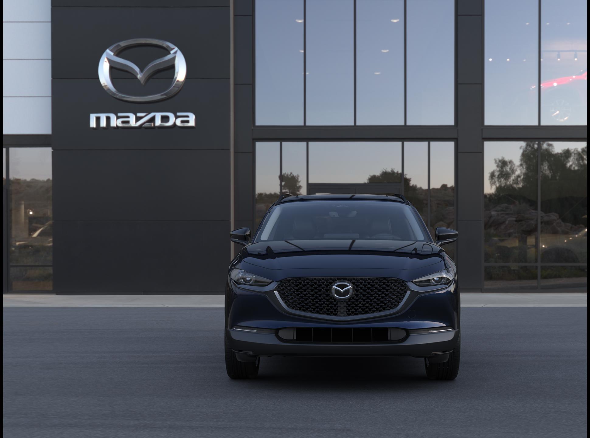 2025 Mazda CX-30 Vehicle Photo in Green Bay, WI 54304