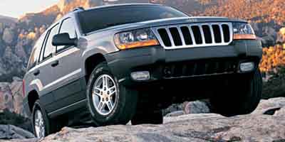 2002 Jeep Grand Cherokee Vehicle Photo in ELLWOOD CITY, PA 16117-1939
