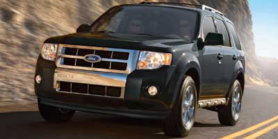 2011 Ford Escape Vehicle Photo in OAK LAWN, IL 60453-2517