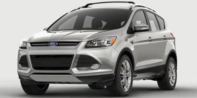 2014 Ford Escape Vehicle Photo in SPOKANE, WA 99212-2978