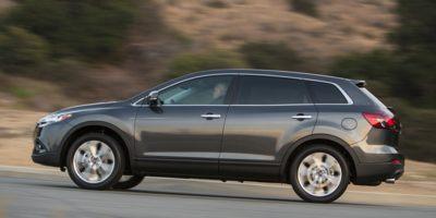 2015 Mazda CX-9 Vehicle Photo in Jacksonville, FL 32244