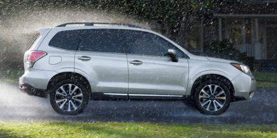 2017 Subaru Forester Vehicle Photo in Pleasant Hills, PA 15236