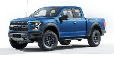 2017 Ford F-150 Vehicle Photo in Hinesville, GA 31313